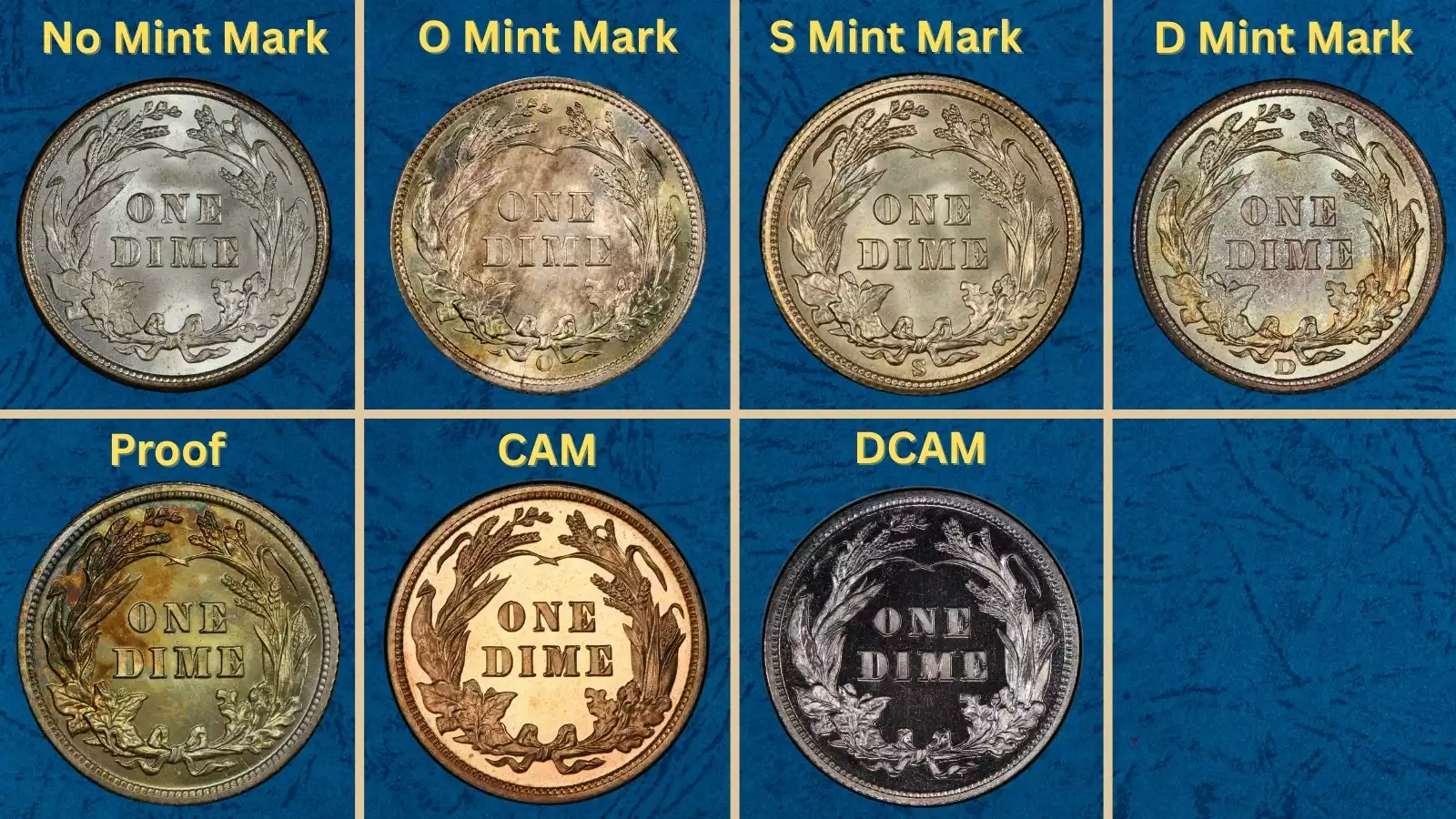 Collection of 1906 Barber Dimes from all four mint facilities arranged to show mint mark differences and typical circulated condition